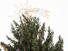 Zdoben� v�no�n�ho stromu na Starom�stsk�m n�m�st� (26. listopadu 2019)