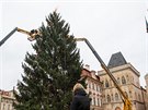 Zdoben� v�no�n�ho stromu na Starom�stsk�m n�m�st� (26. listopadu 2019)