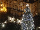 Rozsvícení vánoního stromku na Staromstském námstí v Praze si nenechaly ujít...
