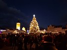V eských Budjovicích se rozsvítil vánoní strom. (30. listopadu 2019)