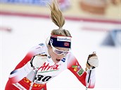 Norsk bkyn na lych Therese Johaugov na trati klasick destky v Ruce
