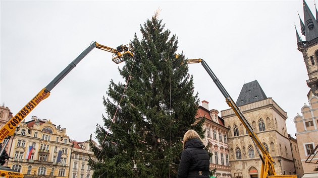 Zdoben vnonho stromu na Staromstskm nmst (26. listopadu 2019)