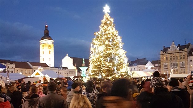 V eskch Budjovicch se rozsvtil vnon strom. (30. listopadu 2019)