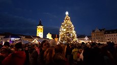 V eských Budjovicích se rozsvítil vánoní strom. (30. listopadu 2019)