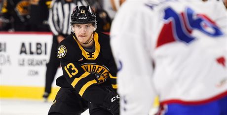 Jakub Lauko v dresu Providence Bruins.