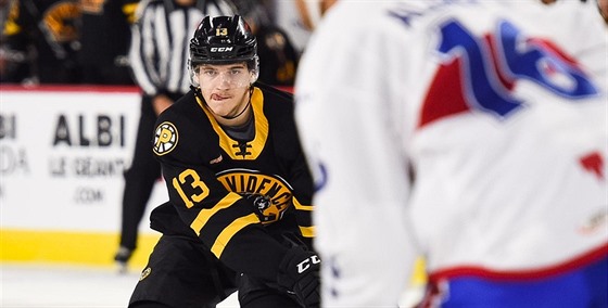 Jakub Lauko v dresu Providence Bruins.