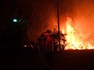 Australtí hasii bojují s lesními poáry u od zaátku listopadu. (6. prosince...