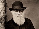 Charles Darwin v roce 1881