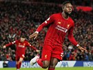 Belgický útoník Divock Origi slaví jeden z gól v utkání Liverpoolu s...