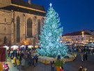 Vánoní strom v Plzni