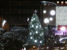 Vánoční strom v Üstí nad Labem