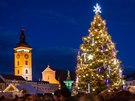 Vánoní strom v eských Budjovicích