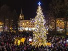 Vánoční strom ve Zlíně