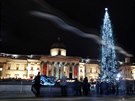 Vánoní strom na Trafalgarském námstí v Londýn. Tma neduivému stromu svdí....