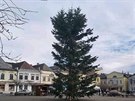 Vánoní strom v Bruntále pevzal tafetu nejoklivjího stromu.
