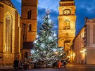 Vánoní strom v Hradci Králové