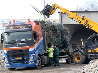 Z Havlíčkova Brodu v pátek odpoledne vyrazil transport s vánočním stromem do...