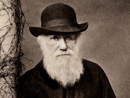 Charles Darwin v roce 1881