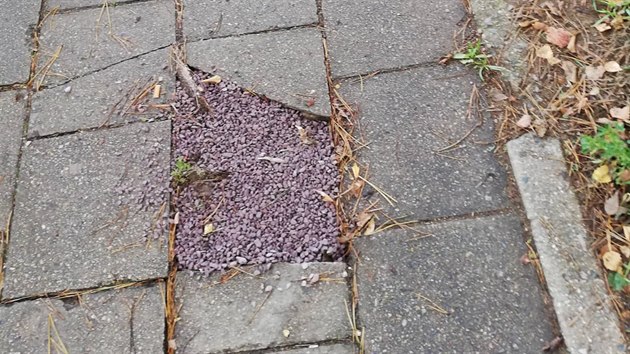 Na nekvalitnm chodnku ve znojemsk Aninsk ulici si jedna ena v listopadu zranila nohu. Msto potom dry zaltalo trkem a pskem. 12/2019 