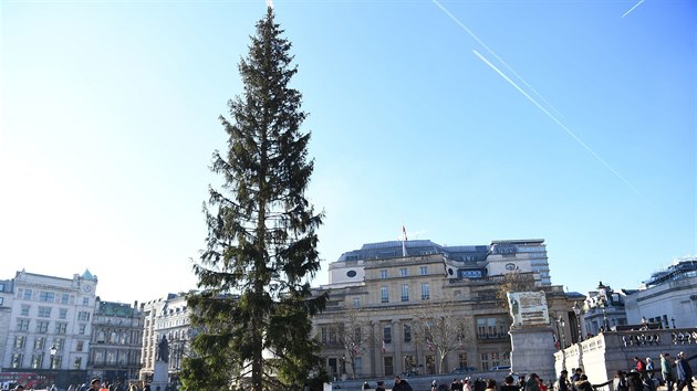 Vnon strom na Trafalgarskm nmst v Londn. (4. prosince 2019)