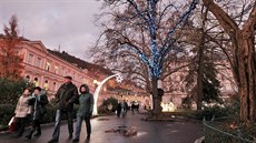 Zpívající strom u jezírka v karlovarských Dvo�ákových sadech.