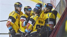 Hokejisté Litvínova slaví gól v utkání proti Vítkovicím.