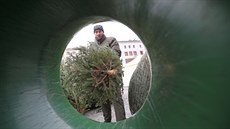 Vánoční stromky z plantáží prodávají u většiny velkých obchodních řetězů, v...