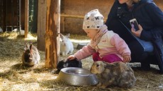 D�ti se kontaktu se zví�aty bát nemusí.