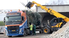 Z Havlíkova Brodu v pátek odpoledne vyrazil transport s vánoním stromem do...