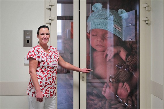 Díky úsilí porodník v karlovarské nemocnici se v kraji zaala poskytovat pée matkám, které mají po porodu psychické problémy. Ilustraní snímek