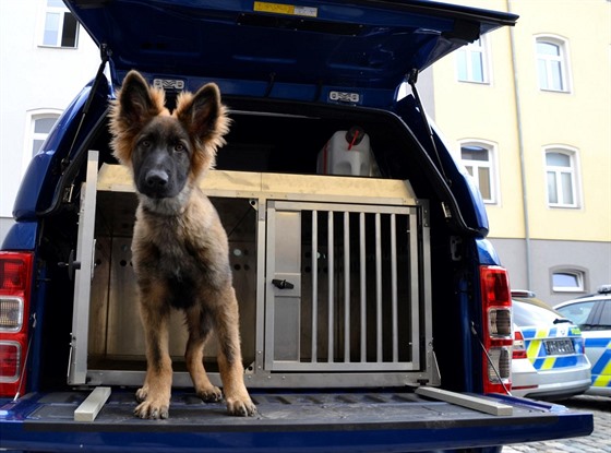 Nové vozy ocení i policejní psi.