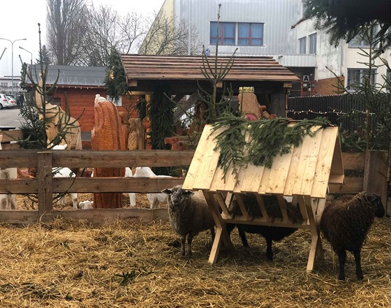 V Jindichov Hradci vlezl neznámý mu o tetí adventní nedli do betléma a...