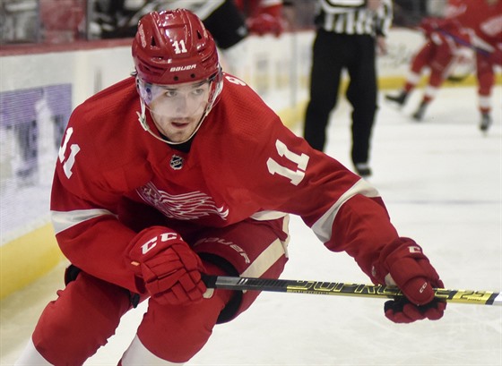 Filip Zadina z Detroitu bruslí za pukem v zápase s Los Angeles.