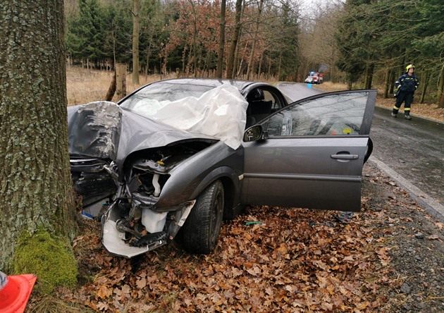 Takto vypadalo auto po nárazu do stromu. Jeho idika, která se pi jízd...