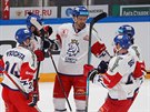 etí hokejisté slaví druhý gól v utkání proti Rusku.