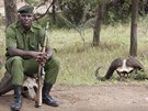 Národní park Masia Mara svědomitě hlídá keňská armáda.