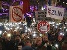 Spolek Milion chvilek zorganizoval demonstraci na Václavském námstí....