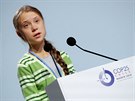 Ekologická aktivistka Greta Thunbergová pednáí na konferenci OSN o zmnách...