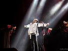 Michael Jackson Live Tribute Show