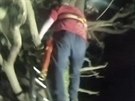 Londýnská policie nala jednoho nejnebezpenjích delikvent na strom