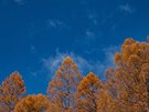 Podzim v iga Kogen je obzvlát krásný za sluneného dne.