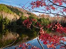 Podzim v UNESCO rezeraci iga Kogen hraje vemi barvami.
