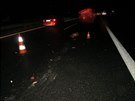Dopravn nehody s divokm prasetem na dlnici D11 (8. 12. 2019)