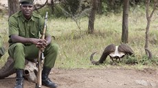 Národní park Masia Mara svdomit hlídá keská armáda.