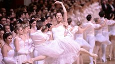 Taneníci baletu Vídeské státní opery na zahajovacím plese (12. února 2015)