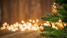 Nazdobený stromek, neopominutelný vánoční symbol.  | na serveru Lidovky.cz | aktuální zprávy
