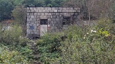 V bývalém nádra�ním domku sho�eli 11. zá�í �ty�i psi. Policisté z týrání zví�at...