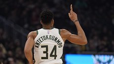 Janis Adetokunbo v dresu Milwaukee slaví povedenou akci.