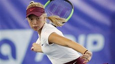 Stejn jako v minulém roníku pomohla trnáctiletá Linda Fruhvirtová tenistm Spartaku Jihlava k postupu do semifinálové skupiny. Ze ty svých zápas prohrála jediný. 