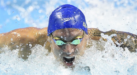 Caeleb Dressel ve finále mezinárodní plavecké ligy ISL v krátkém bazénu v Las...